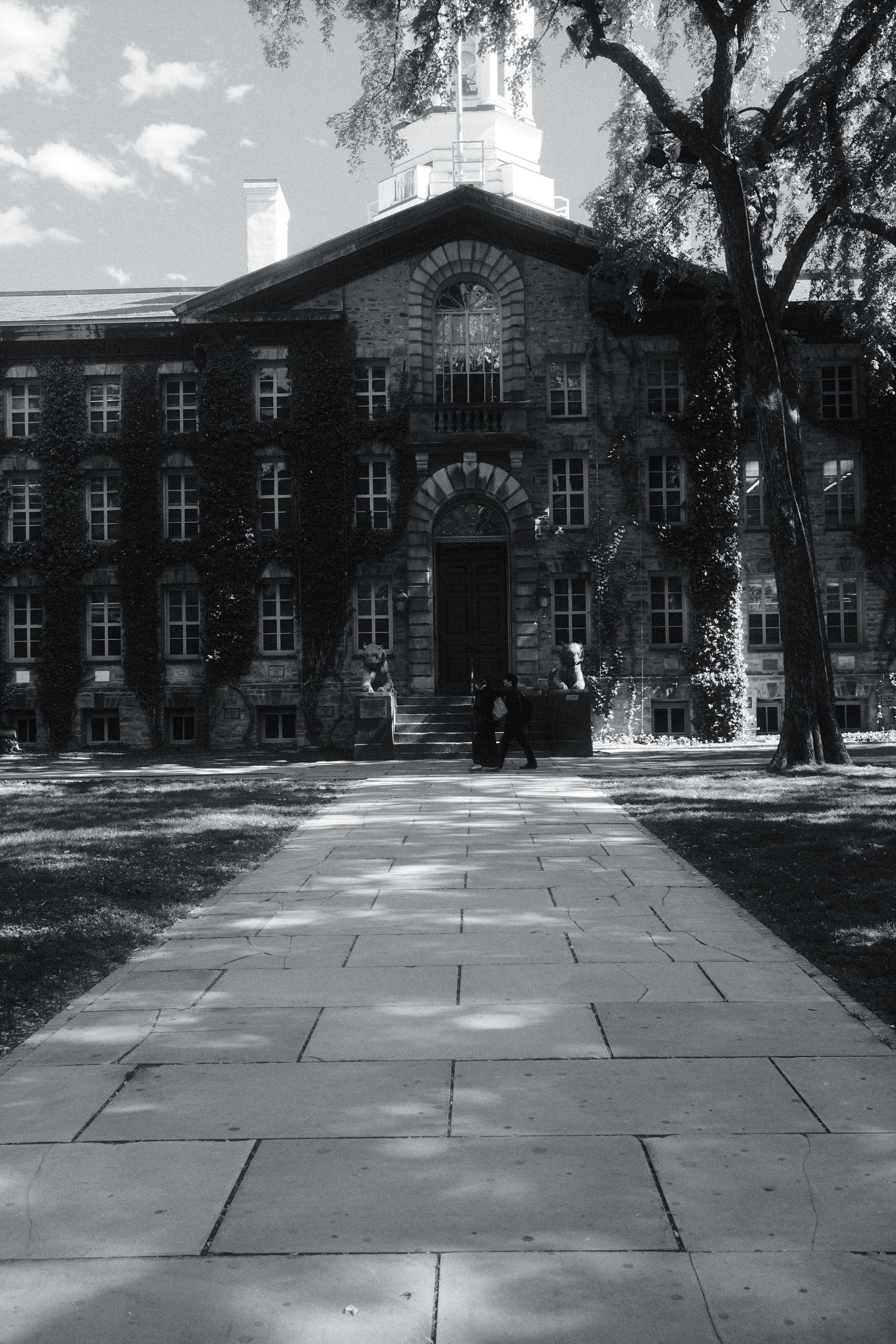 Nassau Hall framed by broad trees and long afternoon shadows